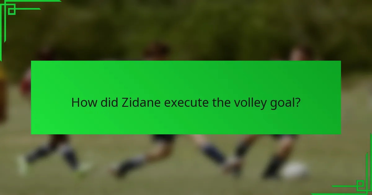 How did Zidane execute the volley goal?